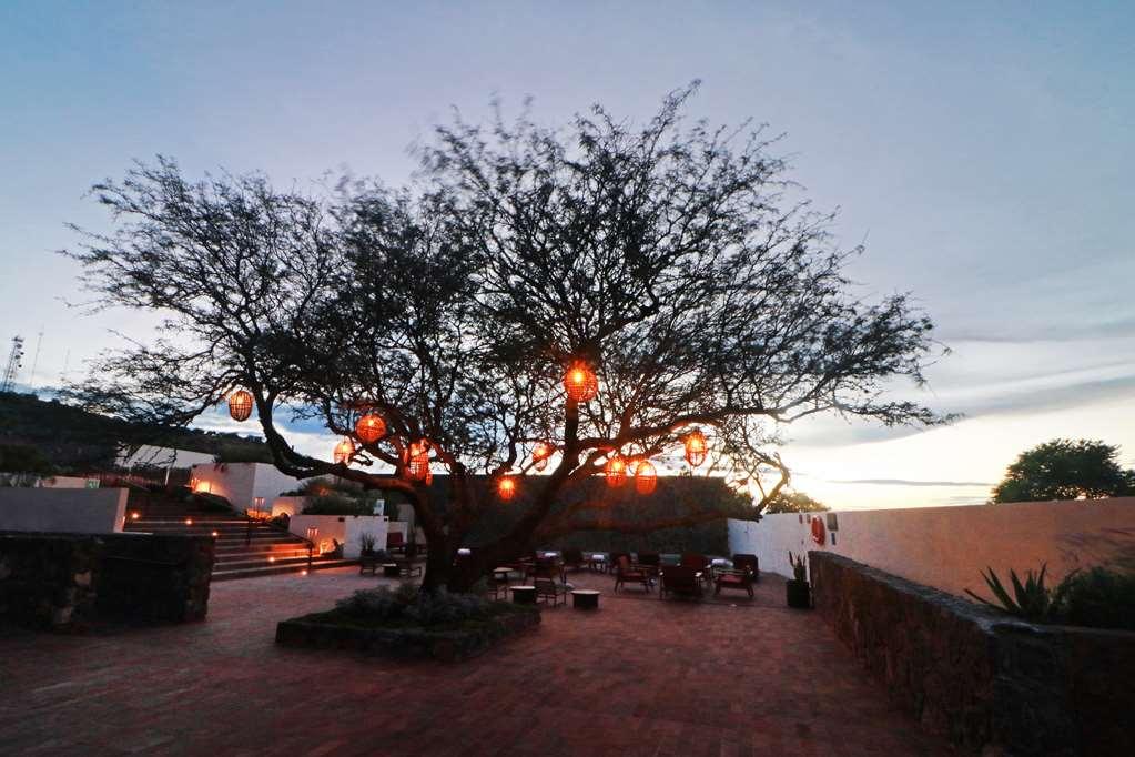 Albor San Miguel De Allende Tapestry Collection By Hilton Dış mekan fotoğraf