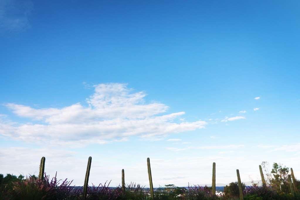 Albor San Miguel De Allende Tapestry Collection By Hilton Dış mekan fotoğraf