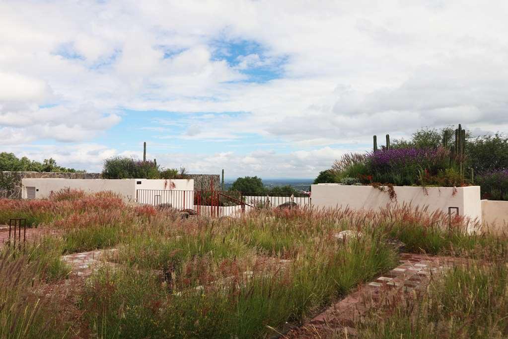 Albor San Miguel De Allende Tapestry Collection By Hilton Dış mekan fotoğraf